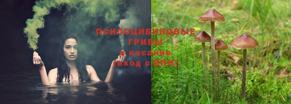 а пвп мука Арсеньев