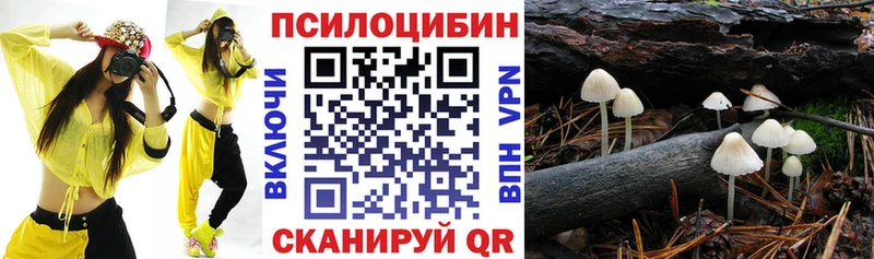 Галлюциногенные грибы Psilocybine cubensis  Рошаль 